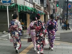-有栖山 清光院 清水寺