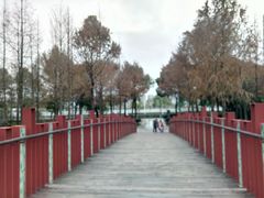 -南翔镇银翔湖公园