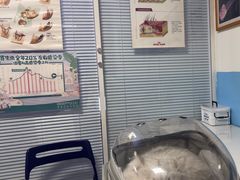 -瑞派福兴宠物医院犬猫全科·骨科·中西医结合(河东店)