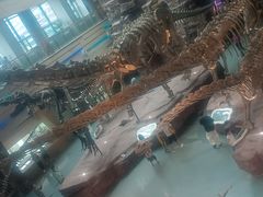 -安徽省地质博物馆