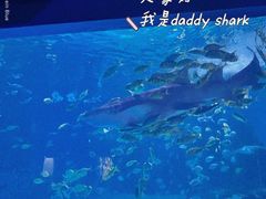 -常州海昌海洋探索馆