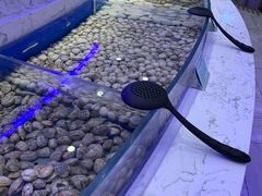 -澜悦港海鲜体验主题餐厅