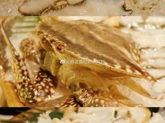 -ONE FULL 古董港式海鲜火锅