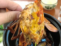 -鑫鸿达·海鲜闽菜热炒小馆(中山路店)
