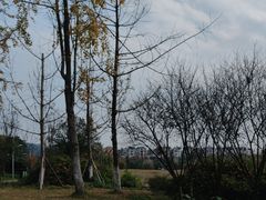 -金海湾滨江公园