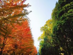 -辽宁大学(崇山校区)