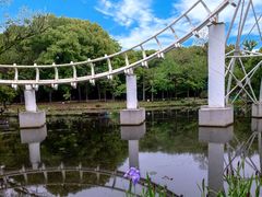 -上海共青森林公园