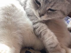 -不舍昼夜咖啡馆