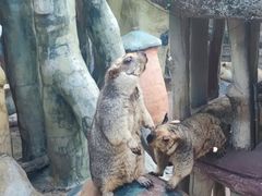 -长鹿旅游休博园