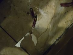 -彩景大酒楼(万泰新天地店)