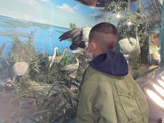 -吉林省自然博物馆