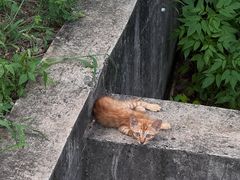 -南京市江宁方山