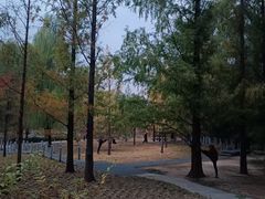 -元大都城垣遗址公园