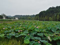 -周立波故居
