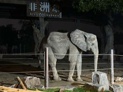 -上海野生动物园