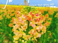 -中国天府农业博览园