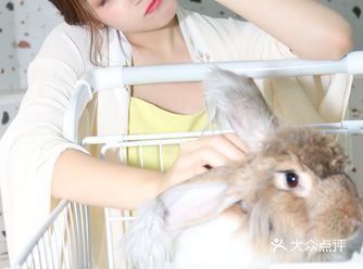 一眼就看中了这只小棕兔