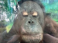 -泉州海丝野生动物世界