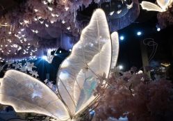 -美薇亭婚礼顾问