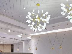 -金戈戈香港豉油鸡(南山海岸城店)