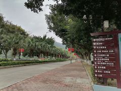 -风云岭森林公园