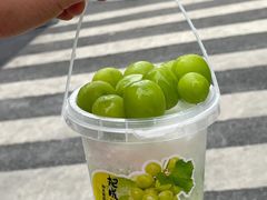 -巴蜀大将火锅(春熙店)