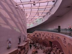 -陕西自然博物馆