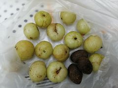 -阿群甘草水果