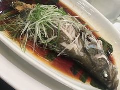 -新南华大酒店(广中店)