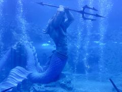 -海合安成都极地海洋公园