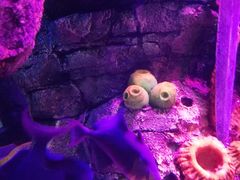 -沈阳海洋探索中心