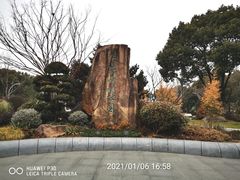 -昆山城市生态森林公园