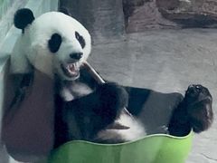 -石家庄市动物园