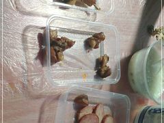 -蓝精灵饺子店