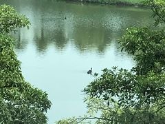 -中国移动南方基地