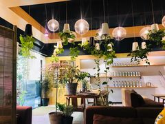 -柴务处·柴犬主题狗咖