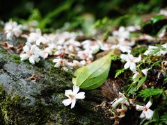 -七星潭蓝天广场