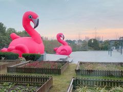 -太阳岛度假酒店