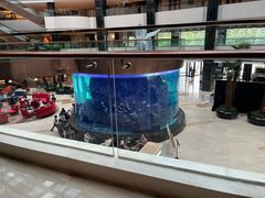 -OPEN開全日自助餐厅·牛肉火锅·海鲜(佛山希尔顿酒店)