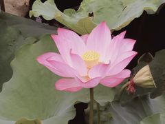 -南关北海公园
