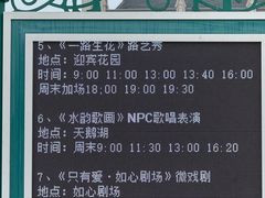 -荷兰花海