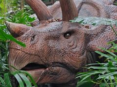 -海南热带野生动植物园