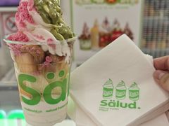-Salud撒露欧洲冻酸奶(五道口购物中心店)