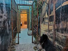 -北京动物园-畅观楼