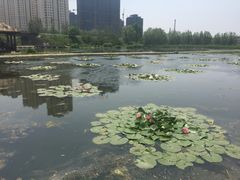 -前关湿地公园