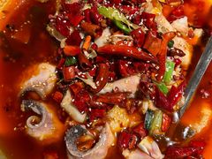 -四姐妹东北饺子(沙尾路店)