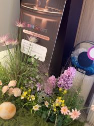 -AGE LOCK 锁龄美肌