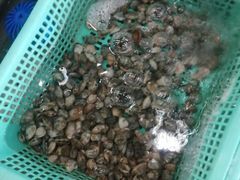-浩运·海鲜青岛菜·海胆水饺(石老人店)