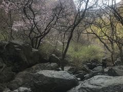 -京西十八潭风景区
