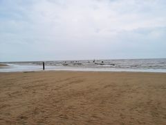 -刘家湾赶海园
